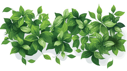 Overhead view of houseplants green leaves on white background