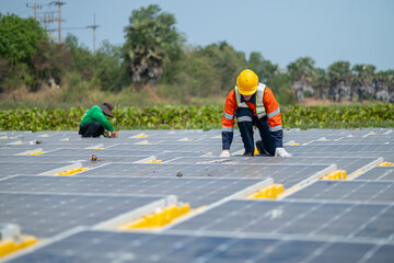 Solar Field Technician Examining Panel Efficiency