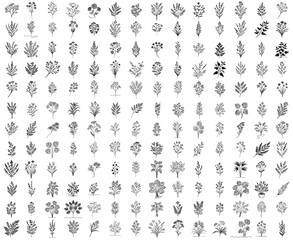 flowers, leaves, wild flowers, herbs, plants, nocolor vector illustration silhouette for laser cutting cnc, engraving, black shape decoration