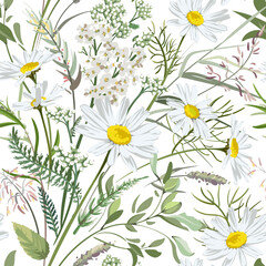 Seamless pattern with flowers - Chamomilla, Achillea Millefolium and grass isolated on white background. Hand-drawn illustrations of wildflowers.