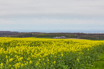 Obraz premium kreis soest, kreis soest in bildern, landkreis soest, soester börde, sauerland, 