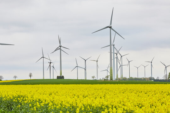 Blick auf Windr&auml;der, Haarstrang, Kreis Soest, NRW, Deutschland, April 2024  