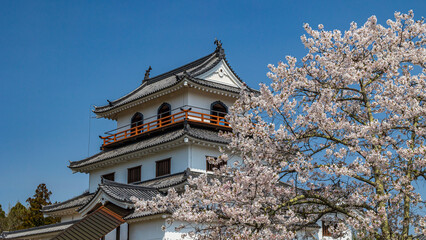 東北の春　宮城県　白石城の桜