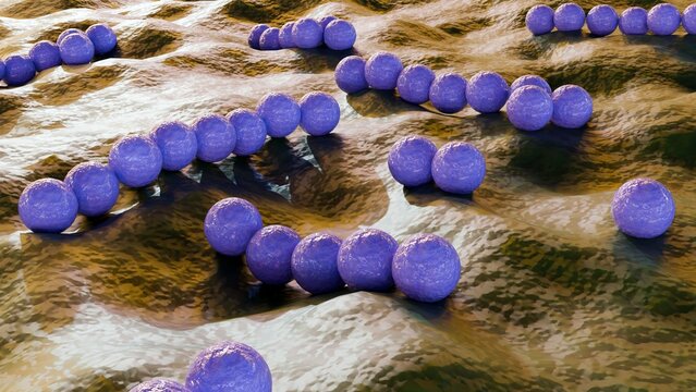 3d rendering of streptococcus, is  spherical bacterium that belong to the family Streptococcaceae. They are non-sporing cocci that tend to link in chains.