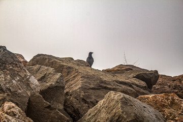 Europe, Romania, Constanta region, 2023 year - Sea, seashore