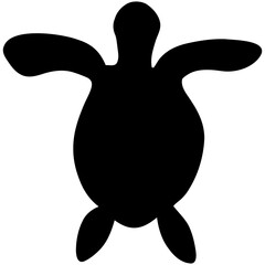 illustration of a turtle