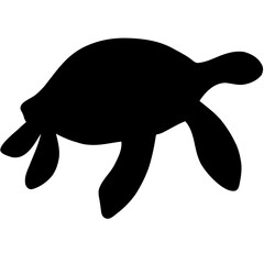 illustration of a turtle