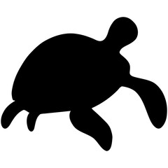 illustration of a turtle