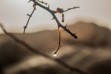 Europe, Romania, Constanta region, 2023 year - Sea, seashore