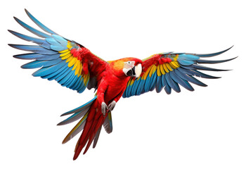 PNG Macaw parrot fly animal bird wildlife. AI generated