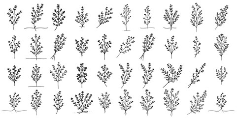 wild herbs nature plant floral vector black ornamental, floristic decoration illustration, silhouette svg, laser cutting cnc engraving - obrazy, fototapety, plakaty