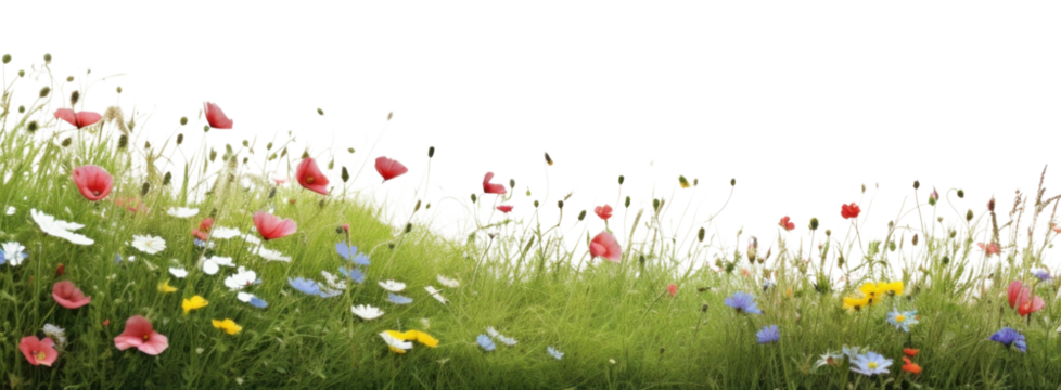 PNG Meadow hills landscape nature backgrounds