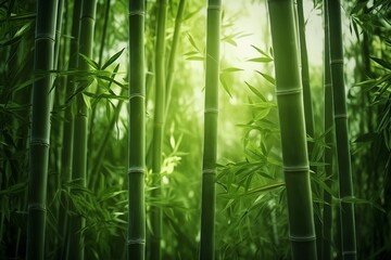 Green bamboo wallpaper. Nature background with beautiful bamboo forest.