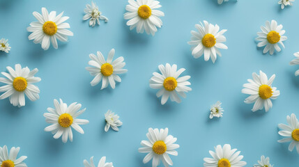 White Daisy Flowers On Blue Background. Fresh And Clean Floral Pattern. Purity Of Nature.