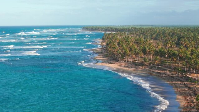 Aerial view of the wild large tropical beach at sunset. Palm tree forest on the Caribbean sea coastline. Most beautiful places in the World