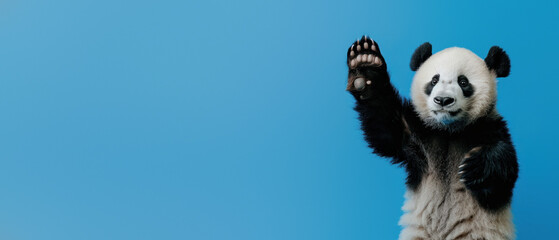 A playful giant panda raising its paw in a friendly greeting or wave, against a bright blue backdrop, exuding joy and tranquility
