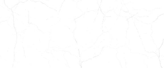 Vector panoramic white Carrara marble stone texture or design art work.