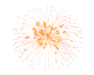 PNG Firework fireworks black background illuminated