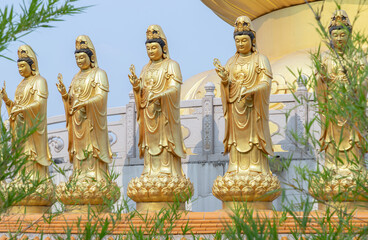 Golden statue goddess of Mercy Guanyin or Quan Yin statue at Fo Guang Shan Thaihua Temple. Guan Yin...