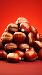Obraz premium Chestnut close-up