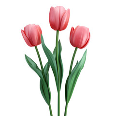 Fototapeta premium Ethereal Blooms: Set of Beautiful Plastic Flowers Isolated on Transparent Background