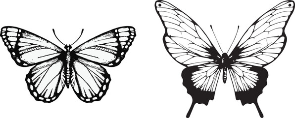 Butterflies silhouettes. Butterfly icons isolated on white background. Graphic illustration.