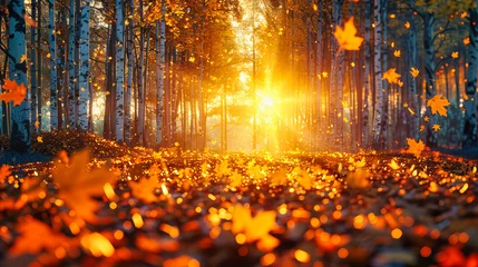 Fotobehang Mysterious Autumn Forest Bathed in Sunlight, Showcasing Vibrant Foliage and a Path Leading Through the Woods © NURA ALAM