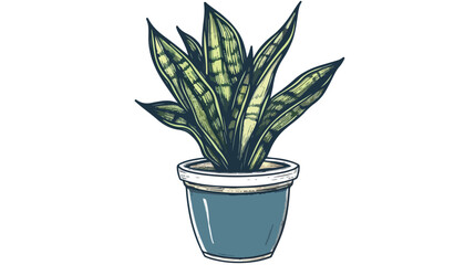 Sansevieria houseplant in a pot. Vector doodle illustration