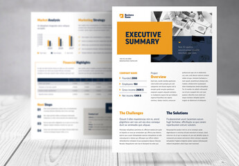 Business Executive Summary Report Template