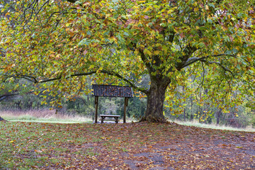 Autumn scene at Berrima new south Wales Australia, landscape photograph
