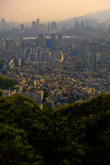 도시뷰, city view