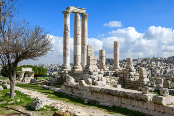 View at the roman citadel at Amman in Jordan - 786358915