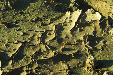 The ground cracked due to dryness in the dry season