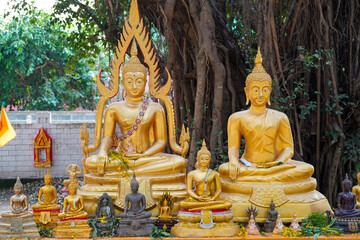 Buddha Statue banyan tree background in Wat Nongtakrong park of Thailand temple , Sonkran festival...