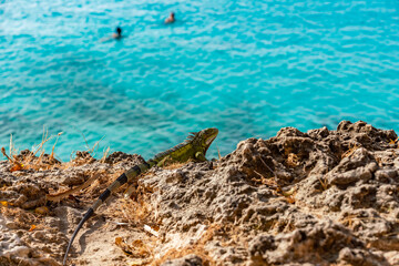 views around Grand knit beach curaçao 
