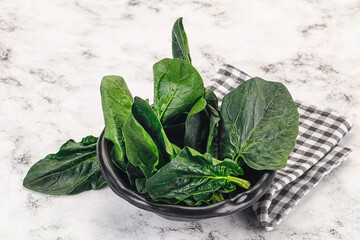 Ripe green spinach leaves heap