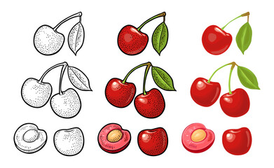 Whole and half cherry berry with leaf. Vector engraving - 786363776