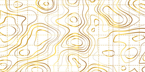 Fototapeta premium The stylized height of the topographic map contour in lines and contours. The concept of a conditional geography scheme and the terrain path. Golden lines on a white background. Vector illustration.