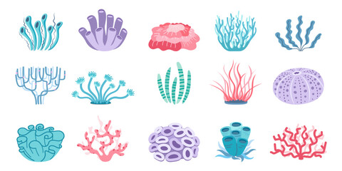 Ocean plants and coral set in simple style. Seaweed collection in flat design on a white background. 
