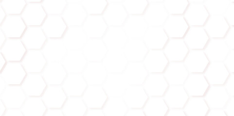 Fototapeta premium Modern minimal elegant hexagon background. White hexagon pattern background. Vector 