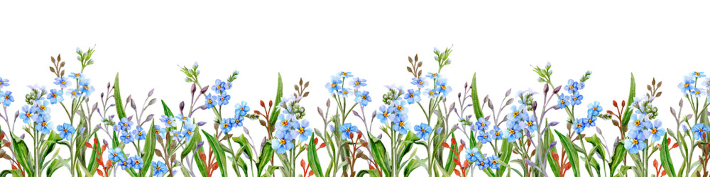 Seamless border Meadow with blue flowers