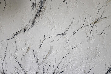 Beautiful light  background texture with black and grey lines. Abstract background from plaster on...