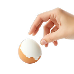 Fototapeta na wymiar A hand breaks a chicken egg Isolate SVG on a transparent background