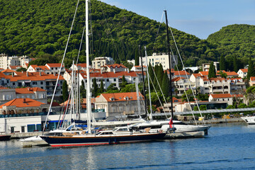 Dubrovnik; Croatia - august 29 2022 : new harbour - 786379164