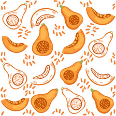 Seamless pattern of orange pumpkin seasonal vegetable vector illustration on white background