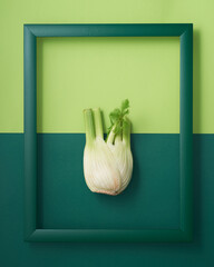 Fennel in  frame on two-tone green background