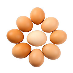 A group of eggs SVG on transparent background