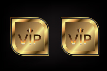 Two premium buttons, levels and top value of luxury positions icon, symbol, element, button, object vector illustration