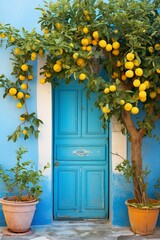 An aquamarine doorway with a lemon tree bearing fruit, its branches arching over a cobaltblue painted home ,  illustration