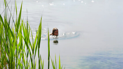 blurred swimming woman in a lake in summertime with focus on reed grass in foreground, idyllic natural background for travel, beach vacation and sports